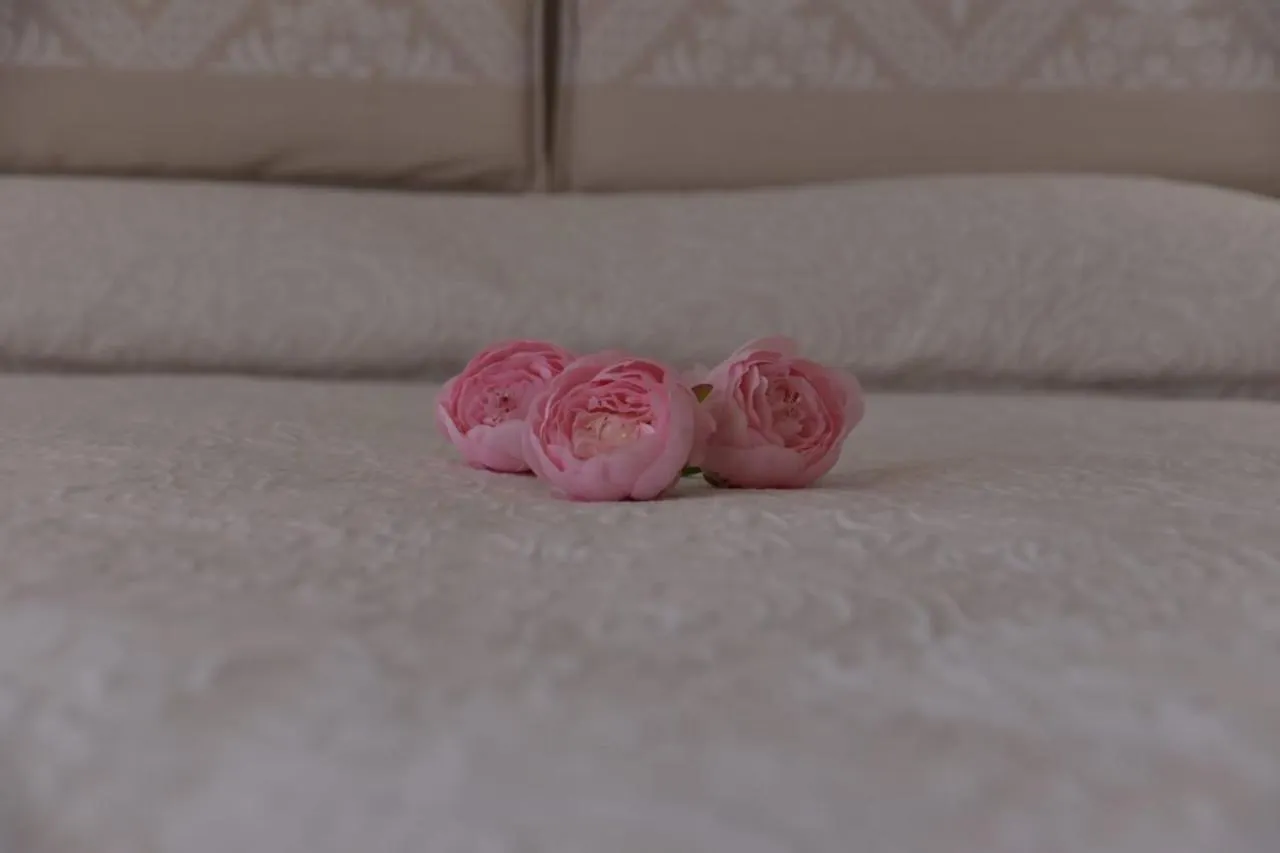 Bed & Breakfast B&B Peonia Orgosolo